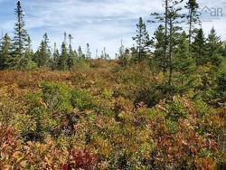 Lot Rockland Road  Rockland, NS B0T 1V0