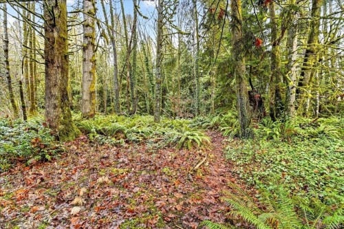 6009 River Rd, Port Alberni, BC 