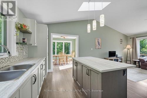 1717 Lakeshore Drive, Ottawa, ON - Indoor Photo Showing Kitchen With Double Sink