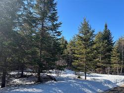 - Route 860  Salt Springs, NB E3E 5W7