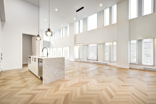 Salon - Ph2006-1245 Rue Sherbrooke O., Montréal (Ville-Marie), QC - Indoor Photo Showing Other Room