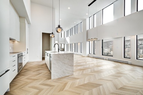 Salon - Ph2006-1245 Rue Sherbrooke O., Montréal (Ville-Marie), QC - Indoor Photo Showing Other Room