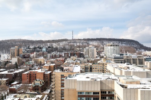 Vue - Ph2006-1245 Rue Sherbrooke O., Montréal (Ville-Marie), QC - Outdoor With View