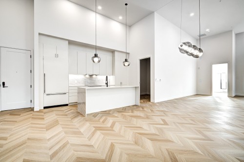 Salon - Ph2006-1245 Rue Sherbrooke O., Montréal (Ville-Marie), QC - Indoor Photo Showing Other Room