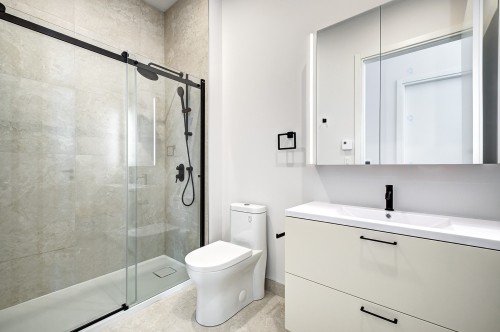 Salle de bains - Ph2006-1245 Rue Sherbrooke O., Montréal (Ville-Marie), QC - Indoor Photo Showing Bathroom