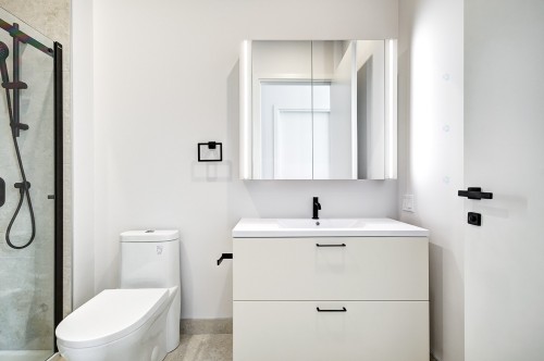 Salle de bains - Ph2006-1245 Rue Sherbrooke O., Montréal (Ville-Marie), QC - Indoor