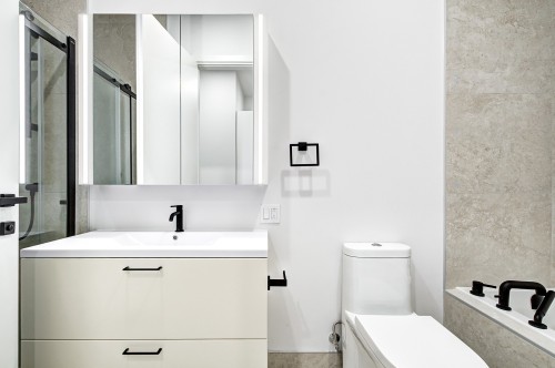 Salle de bains - Ph2006-1245 Rue Sherbrooke O., Montréal (Ville-Marie), QC - Indoor Photo Showing Bathroom