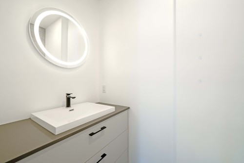 Powder room - 317-1575 Rue Gareau, Montréal (Ville-Marie), QC - Indoor Photo Showing Bathroom