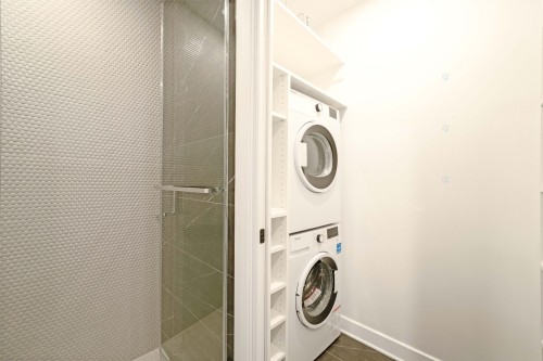 Laundry - 317-1575 Rue Gareau, Montréal (Ville-Marie), QC - Indoor Photo Showing Laundry Room