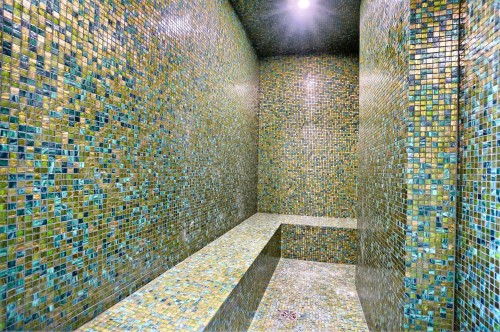 Spa - 317-1575 Rue Gareau, Montréal (Ville-Marie), QC -  Photo Showing Other Room