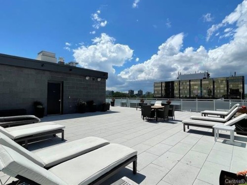 Patio - 317-1575 Rue Gareau, Montréal (Ville-Marie), QC - Outdoor