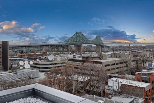 Aerial View - 317-1575 Rue Gareau, Montréal (Ville-Marie), QC - Outdoor With View