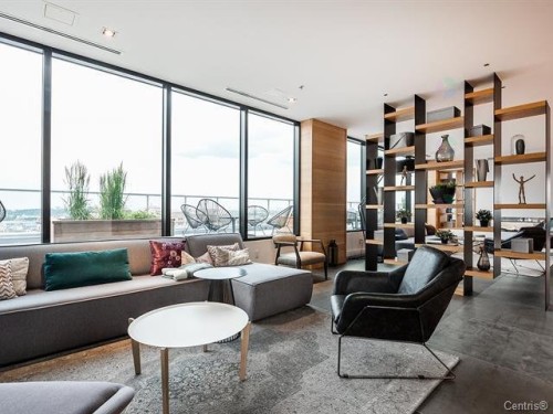 Common room - 1505-738 Rue St-Paul O., Montréal (Ville-Marie), QC - Indoor Photo Showing Living Room