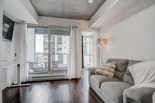 Salon - 509-101 Rue Peel, Montréal (Le Sud-Ouest), QC - Indoor Photo Showing Living Room
