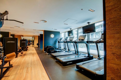 Salle d'exercice - 509-101 Rue Peel, Montréal (Le Sud-Ouest), QC - Indoor Photo Showing Gym Room