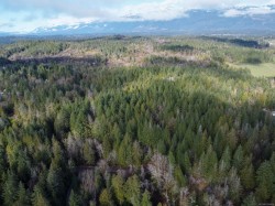  Port Alberni, BC None