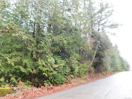 Port Alberni, BC 
