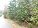 Port Alberni, BC 