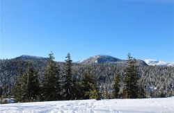 106-1105 Henry Rd  Courtenay, BC V9J 1L0