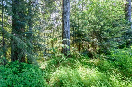 7478 Yake Rd, Fanny Bay, BC 