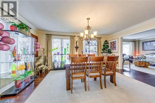 Dining room featuring a chandelier, dark wood finished floors, ornamental molding, and a textured ceiling - 4220 Millcroft Park Drive, Burlington, ON - Indoor Photo Showing Dining Room