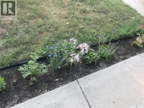 118 Second Street W, Carnduff, SK - Outdoor