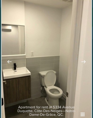 Salle d'eau - 5334 Av. Duquette, Montréal (Côte-Des-Neiges/Notre-Dame-De-Grâce), QC - Indoor Photo Showing Bathroom