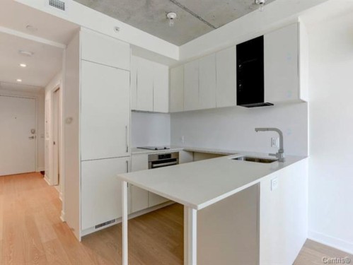 Cuisine - 1311-360 Rue Mayor, Montréal (Ville-Marie), QC - Indoor Photo Showing Kitchen