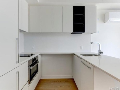 Cuisine - 1311-360 Rue Mayor, Montréal (Ville-Marie), QC - Indoor Photo Showing Kitchen With Upgraded Kitchen