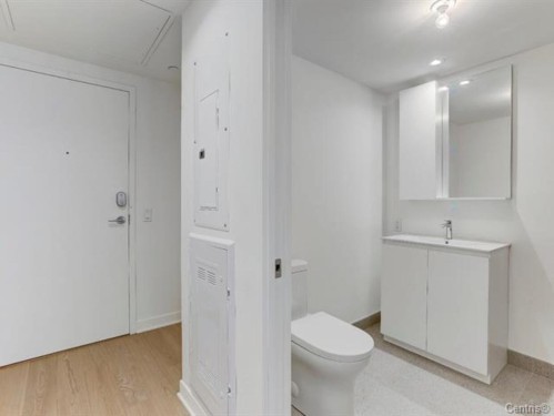 Salle de bains - 1311-360 Rue Mayor, Montréal (Ville-Marie), QC - Indoor Photo Showing Bathroom