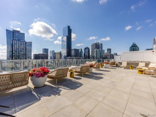 Terrasse - 1311-360 Rue Mayor, Montréal (Ville-Marie), QC - Outdoor