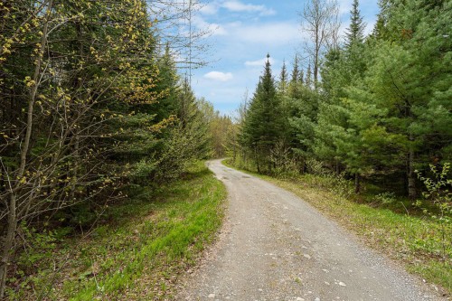 Lot - 1975 Rue De La Montagne, Saint-Denis-De-Brompton, QC - Outdoor With View