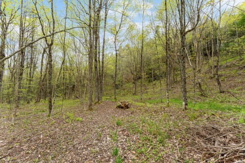 Lot - 1975 Rue De La Montagne, Saint-Denis-De-Brompton, QC - Outdoor With View