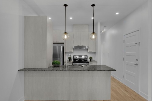 Kitchen - 102-4781 Rue St-Ambroise, Montréal (Le Sud-Ouest), QC - Indoor Photo Showing Kitchen With Upgraded Kitchen