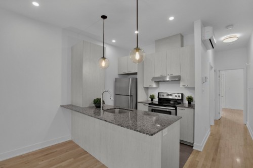 Kitchen - 102-4781 Rue St-Ambroise, Montréal (Le Sud-Ouest), QC - Indoor Photo Showing Kitchen With Upgraded Kitchen