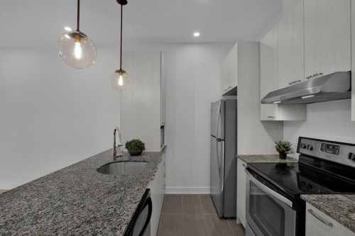 Kitchen - 102-4781 Rue St-Ambroise, Montréal (Le Sud-Ouest), QC - Indoor Photo Showing Kitchen With Upgraded Kitchen
