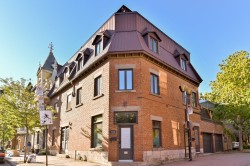 1238 Rue Alexandre-DeSève  Montréal (Ville-Marie), QC H2L 2T9