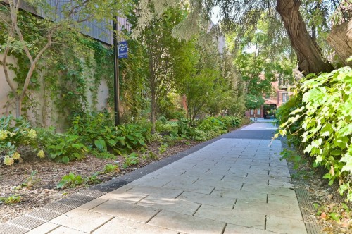 À proximité - 1238 Rue Alexandre-Desève, Montréal (Ville-Marie), QC - Outdoor