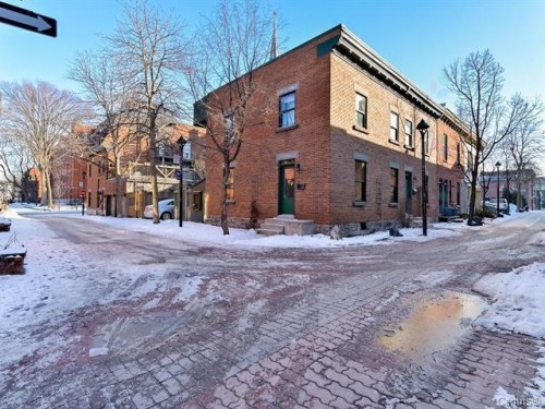 Autre - 1238 Rue Alexandre-Desève, Montréal (Ville-Marie), QC - Outdoor