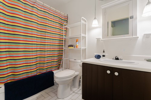 Salle de bains - 1238 Rue Alexandre-Desève, Montréal (Ville-Marie), QC - Indoor Photo Showing Bathroom