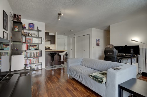 Living Room - 230-1451 Rue Parthenais, Montréal (Ville-Marie), QC - Indoor