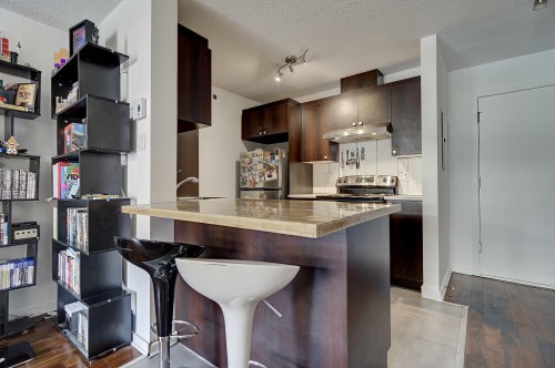 Kitchen - 230-1451 Rue Parthenais, Montréal (Ville-Marie), QC - Indoor Photo Showing Kitchen