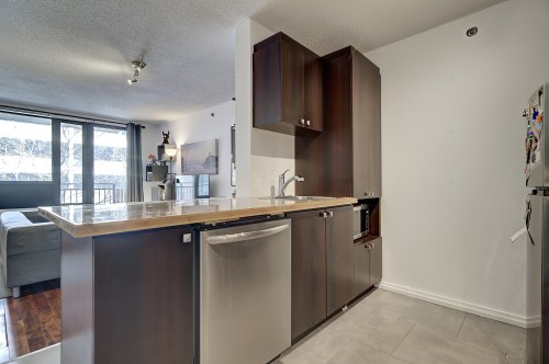 Kitchen - 230-1451 Rue Parthenais, Montréal (Ville-Marie), QC - Indoor Photo Showing Kitchen