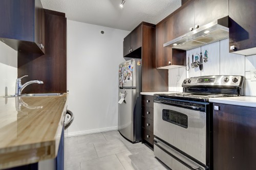 Kitchen - 230-1451 Rue Parthenais, Montréal (Ville-Marie), QC - Indoor Photo Showing Kitchen