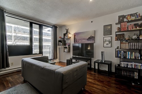 Living Room - 230-1451 Rue Parthenais, Montréal (Ville-Marie), QC - Indoor Photo Showing Other Room