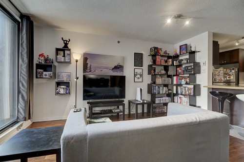 Living Room - 230-1451 Rue Parthenais, Montréal (Ville-Marie), QC - Indoor