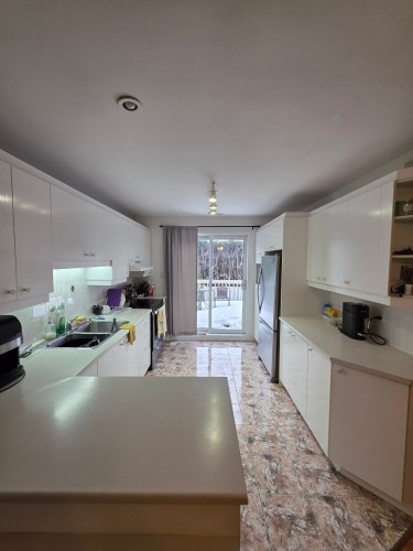 Cuisine - 5395 Rue Boisjoli, Longueuil (Saint-Hubert), QC - Indoor Photo Showing Kitchen With Double Sink