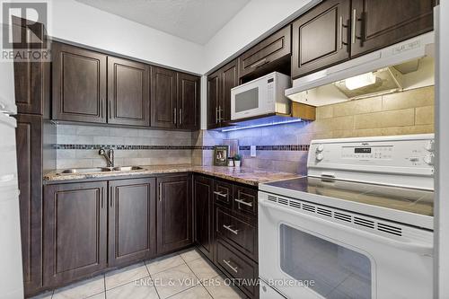 303 - 158A Mcarthur Avenue, Ottawa, ON - Indoor Photo Showing Kitchen With Double Sink