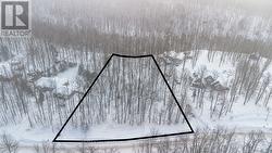 17 MAPLE RIDGE ROAD  Oro-Medonte, ON L0L 2L0