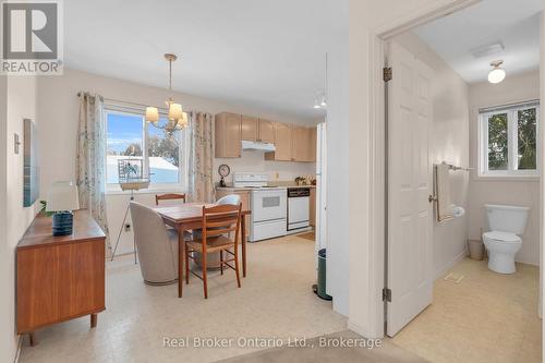 50 South Drive, Kitchener, ON - Indoor Photo Showing Kitchen